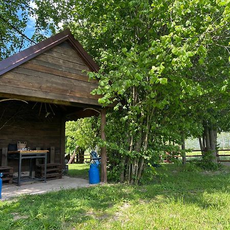 Villa Zakatek Lipowy - Turystyka Stulichy à Węgorzewo Extérieur photo