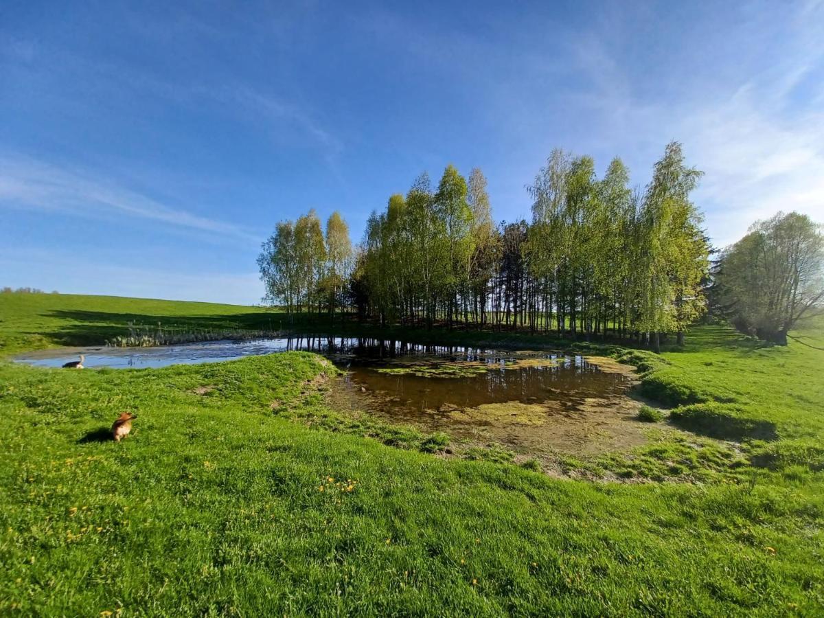 Villa Zakatek Lipowy - Turystyka Stulichy à Węgorzewo Extérieur photo